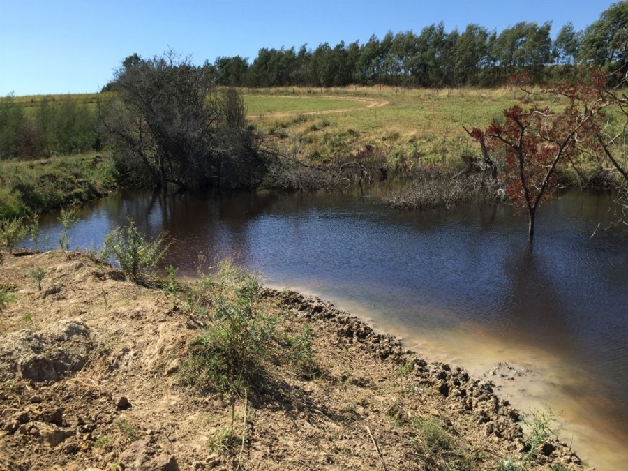 Commercial Property for Sale in Bathurst Eastern Cape